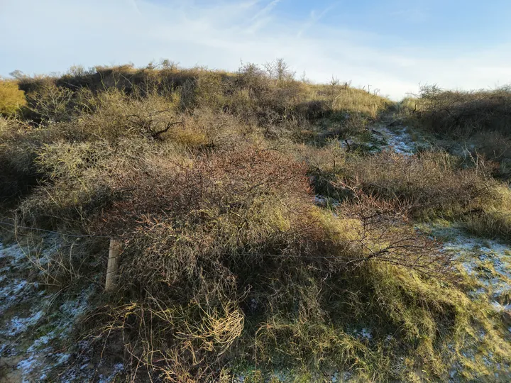 Oostnieuwkerke duinen wandeling in de koude (België)